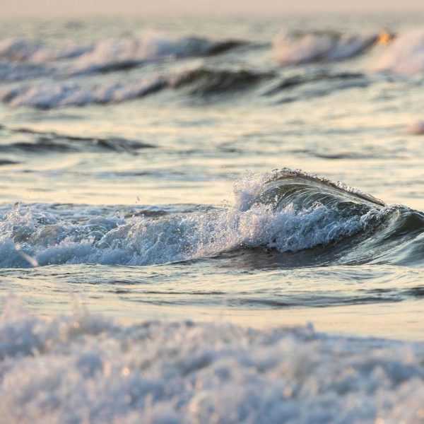 Krynica Morska - Mierzeja Wiślana